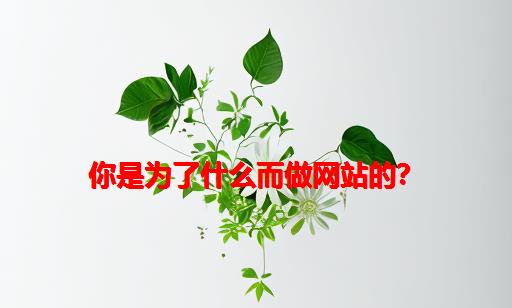 你是为了什么而做网站的？