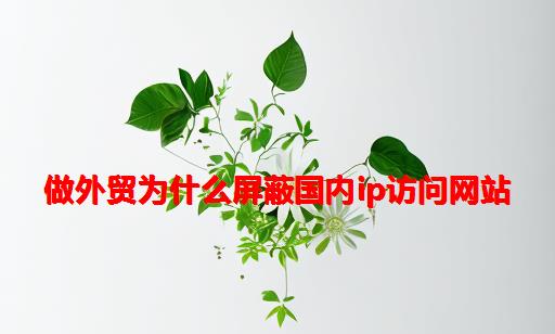 做外贸为什么屏蔽国内IP访问网站