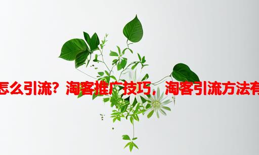 做淘客怎么引流？淘客推广技巧，淘客引流方法有哪些？