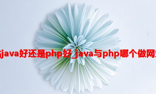 做网站java好还是php好_java与php哪个做网站简单