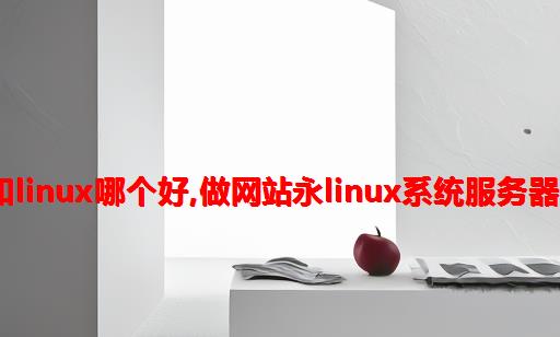 做网站windows和linux哪个好,做网站永Linux系统服务器到底有什么优势？