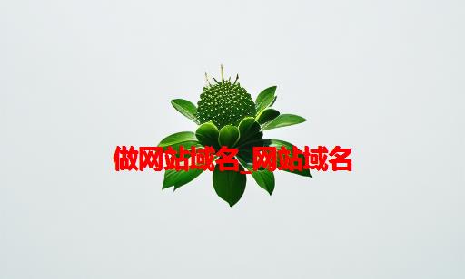 做网站域名_网站域名