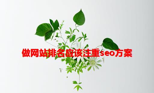 做网站排名应该注重SEO方案