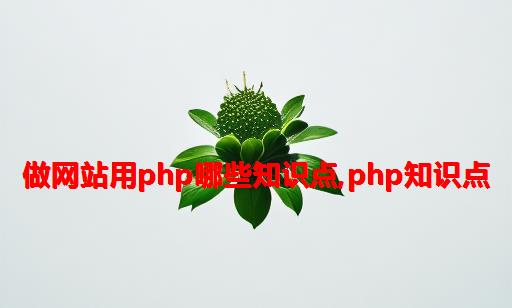 做网站用php哪些知识点,php知识点