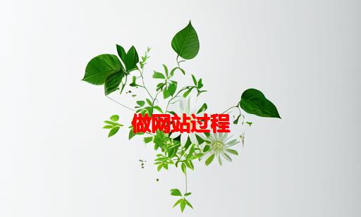 做网站过程