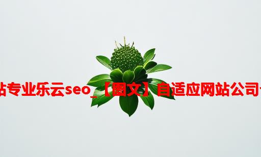 做自适应网站专业乐云seo_【图文】自适应网站公司十年乐云seo