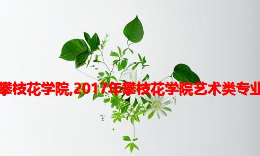 全国计算机报名入口攀枝花学院,2017年攀枝花学院艺术类专业考试网上报名入口...