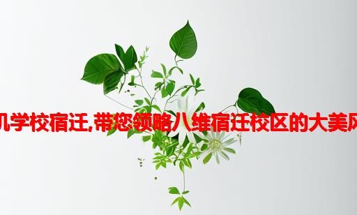 八维计算机学校宿迁,带您领略八维宿迁校区的大美风光（上）