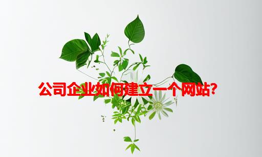 公司企业如何建立一个网站？