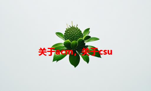 关于ACM，关于CSU