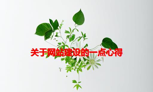 关于网站建设的一点心得