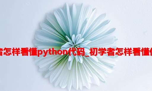 初学者怎样看懂python代码_初学者怎样看懂代码？