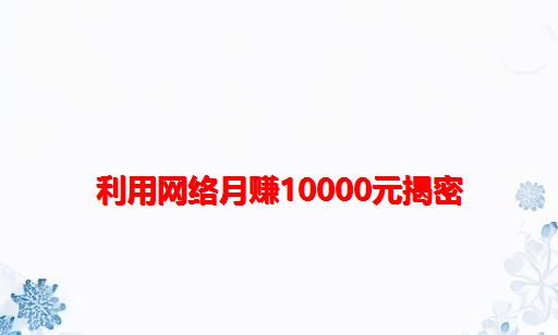 利用网络月赚10000元揭密