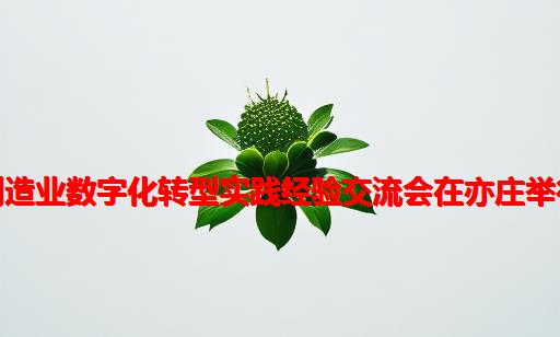 制造业数字化转型实践经验交流会在亦庄举行