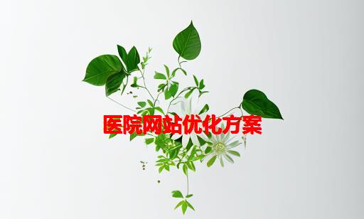 医院网站优化方案