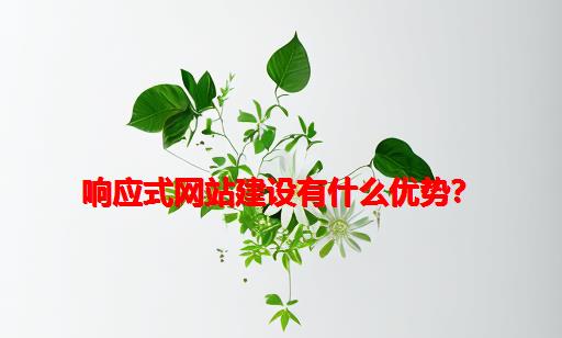 响应式网站建设有什么优势？