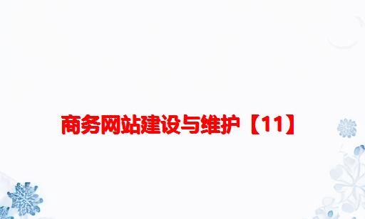 商务网站建设与维护【11】