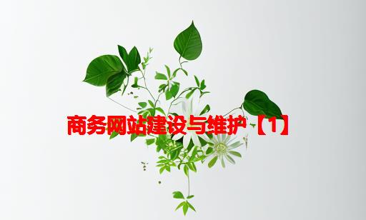 商务网站建设与维护【1】