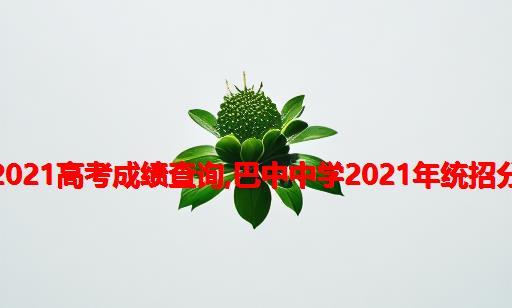 四川巴中中学2021高考成绩查询,巴中中学2021年统招分数线是多少？