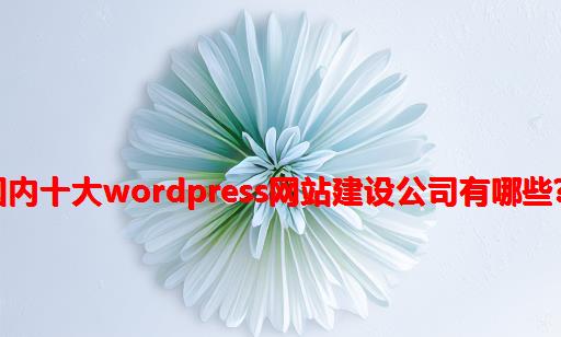 国内十大WordPress网站建设公司有哪些？