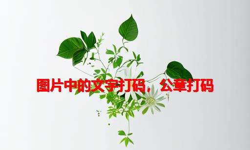 图片中的文字打码，公章打码