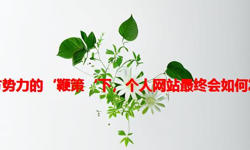 在各方势力的‘鞭策‘下，个人网站最终会如何发展！