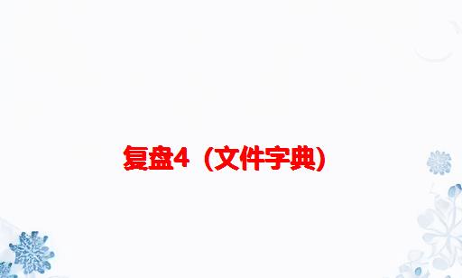 复盘4（文件字典）