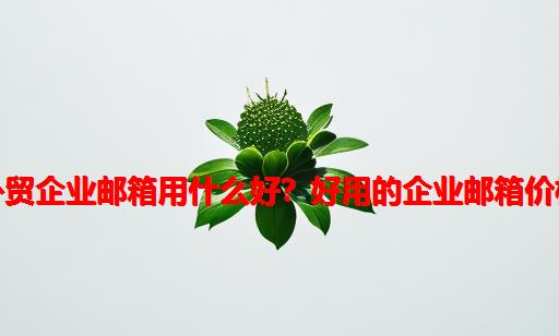 外贸企业邮箱用什么好？好用的企业邮箱价格