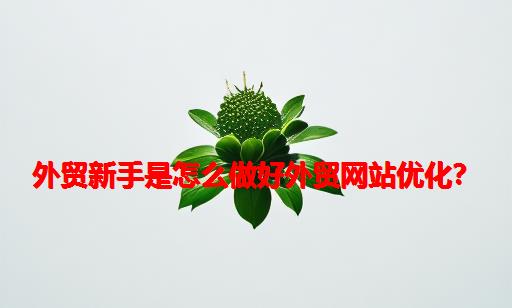 外贸新手是怎么做好外贸网站优化？