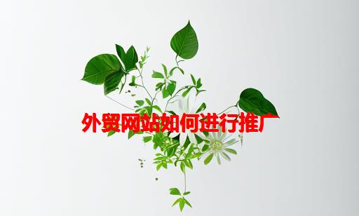 外贸网站如何进行推广