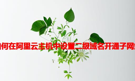 如何在阿里云主机中设置二级域名开通子网站