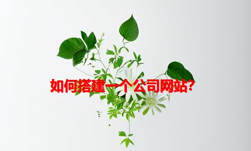 如何搭建一个公司网站？