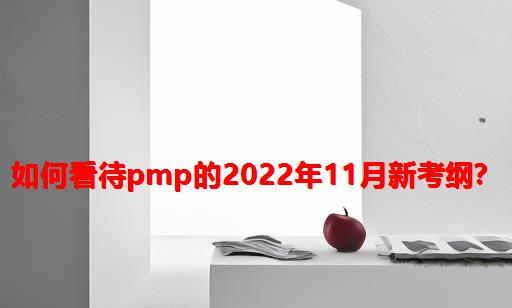 如何看待PMP的2022年11月新考纲？