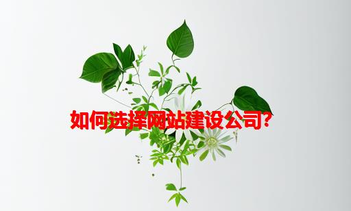 如何选择网站建设公司？