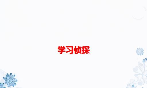 学习侦探