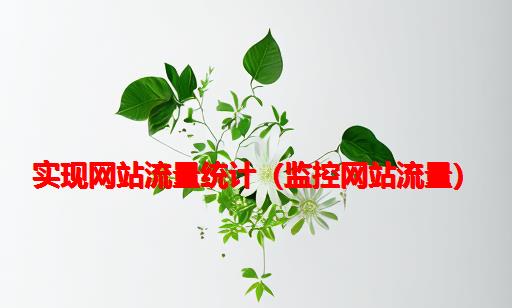 实现网站流量统计（监控网站流量）