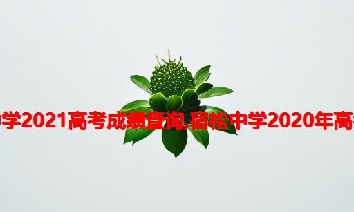 宿松中学2021高考成绩查询,宿松中学2020年高考喜报