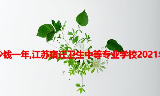 宿迁卫校计算机多少钱一年,江苏宿迁卫生中等专业学校2021年招生录取分数线...