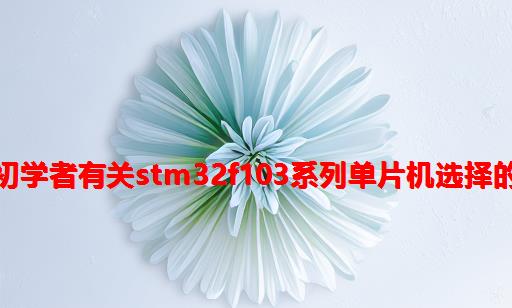 对于初学者有关STM32F103系列单片机选择的建议