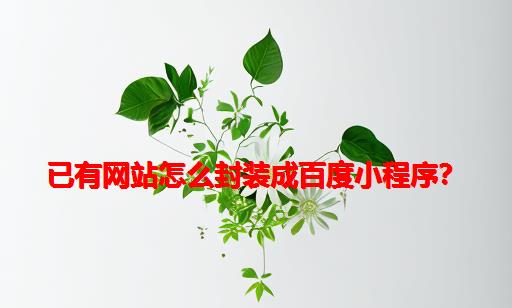 已有网站怎么封装成百度小程序？