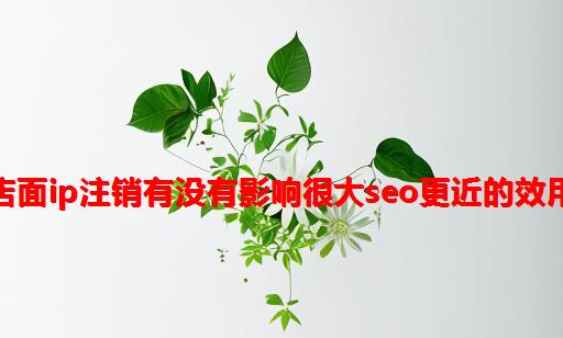 店面IP注销有没有影响很大SEO更近的效用