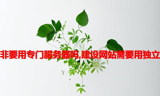 建个网站非要用专门服务器吗,建设网站需要用独立服务器吗