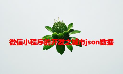 微信小程序的开发之城市json数据