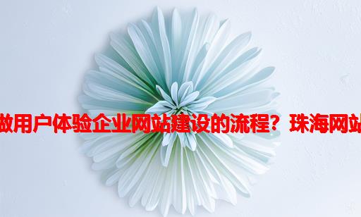 怎样做用户体验企业网站建设的流程？珠海网站建设