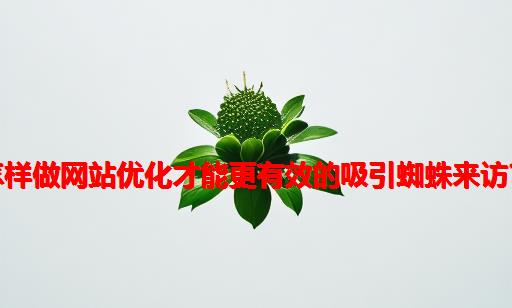 怎样做网站优化才能更有效的吸引蜘蛛来访？