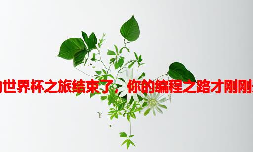 意大利的世界杯之旅结束了，你的编程之路才刚刚开始……