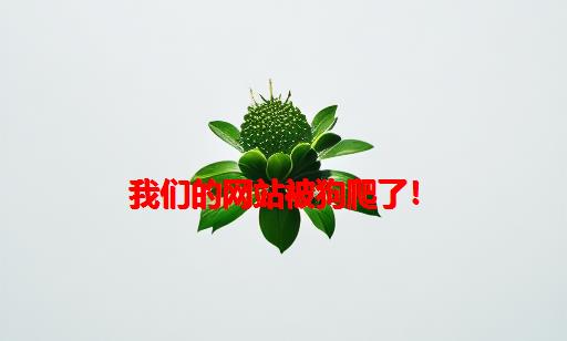 我们的网站被狗爬了！