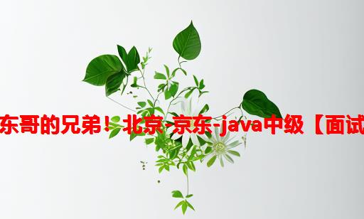 我想做东哥的兄弟！北京-京东-Java中级【面试真题】