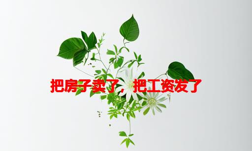 把房子卖了，把工资发了