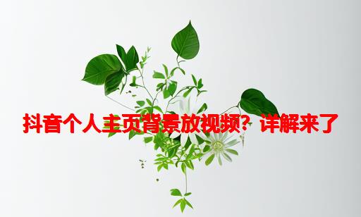 抖音个人主页背景放视频？详解来了